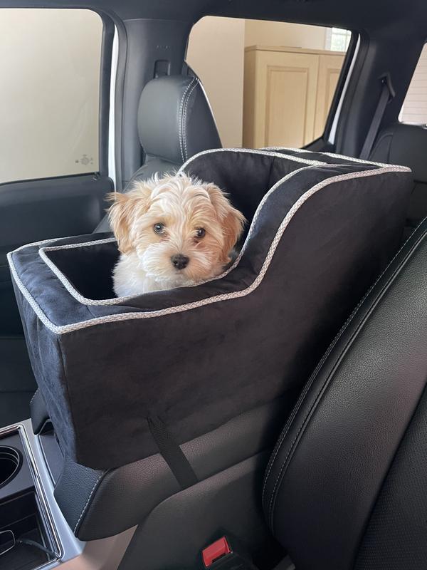 Console dog car outlet seat with high back