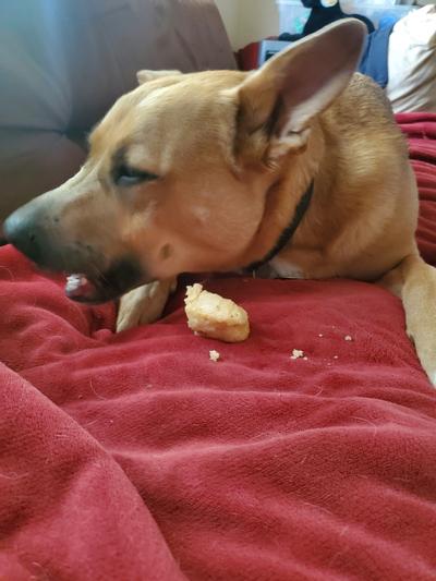 Himalayan Pet Supply Natural Cheese X-Large Dog Treats