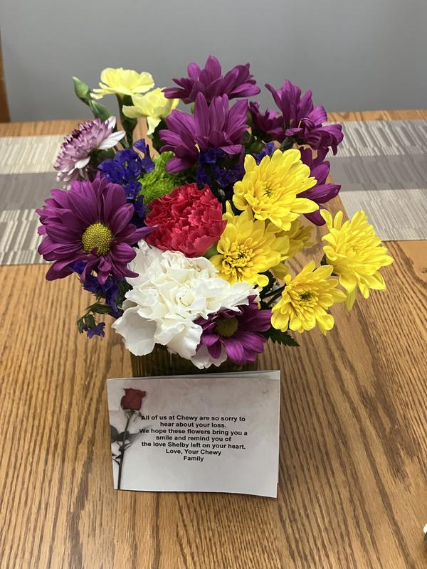 Condolences from Chewy