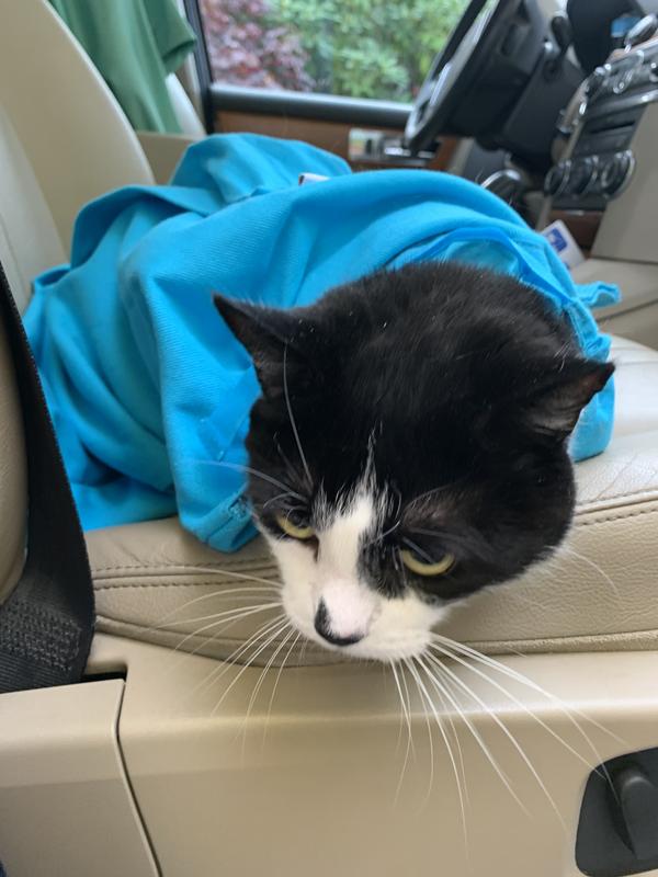 Product Reviews for CAT-IN-THE-BAG E-Z-Zip Cat Carrier Bag