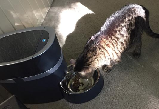 Smart Feed Automatic Dog and Cat Feeder, 2nd Generation