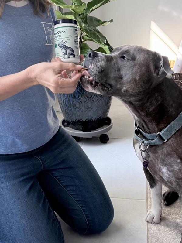 So easy to give - tastes like a treat!