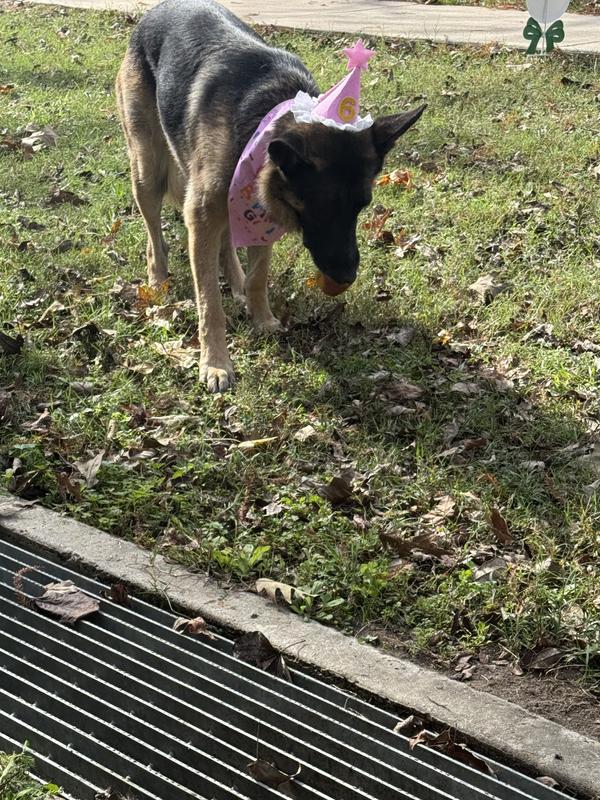 Birthday baby chowing down
