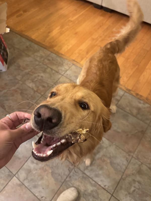 So excited about his new treat!