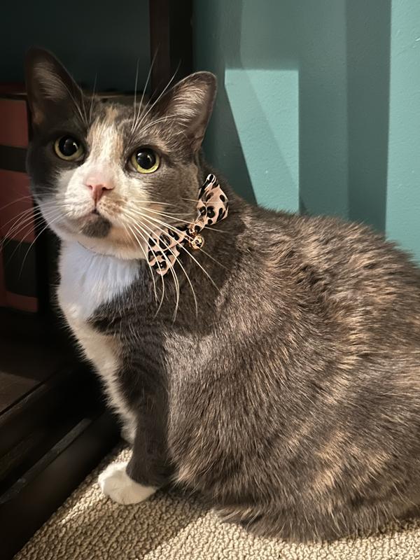 Pillow, with a clean backside