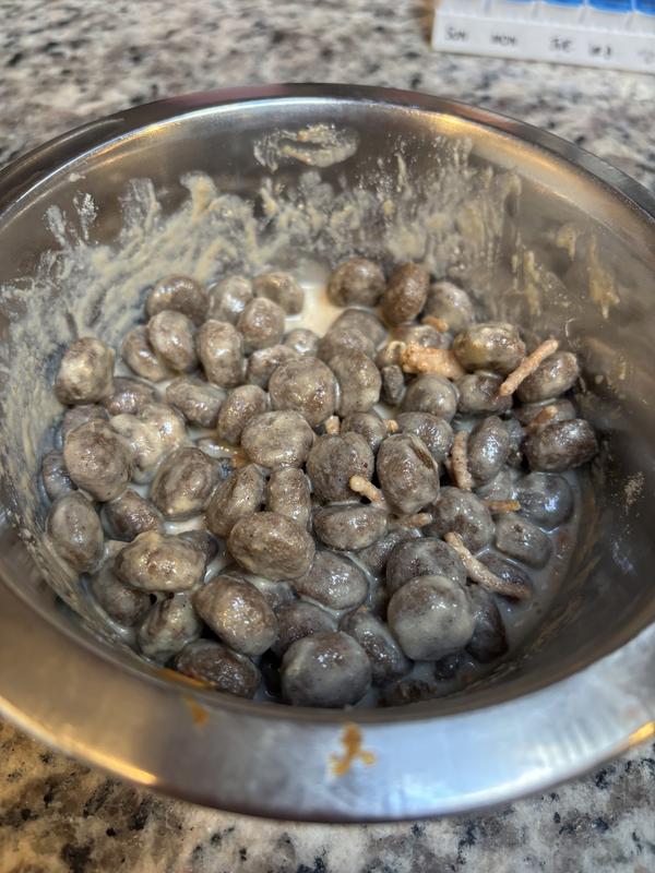 Ignore the few pieces of whole grain cereal mixed in there! But you can see that the healthy aging formula fully covers the kibble like a thick gravy.