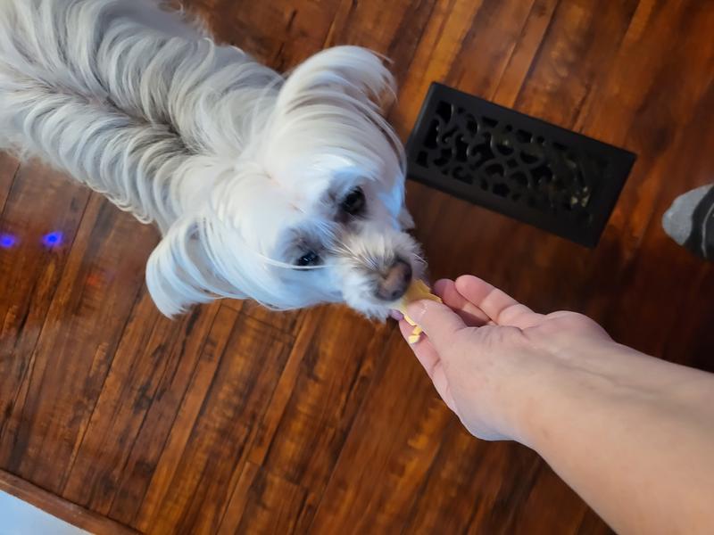 Didnt like until I put in cheese