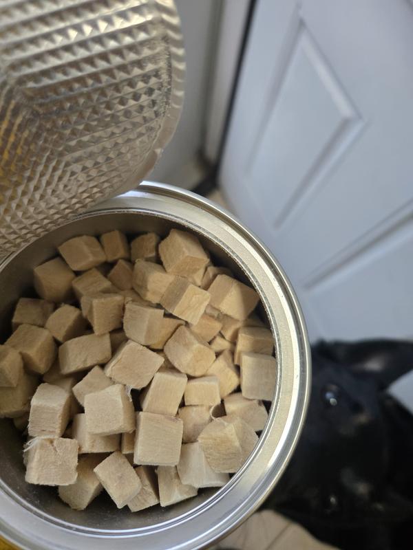 Opening the container = instant begging from Miss Olive.