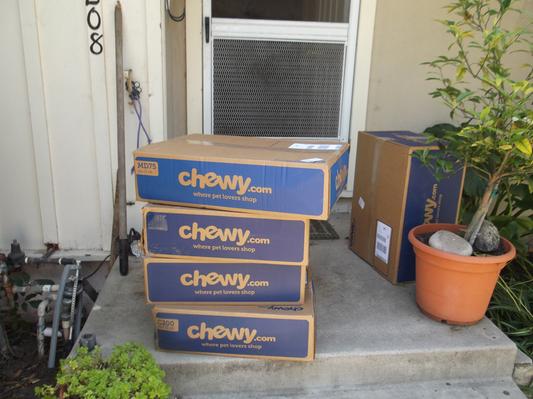 front door service