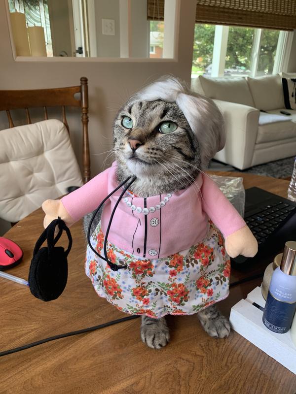 Looking like a cat lady herself!