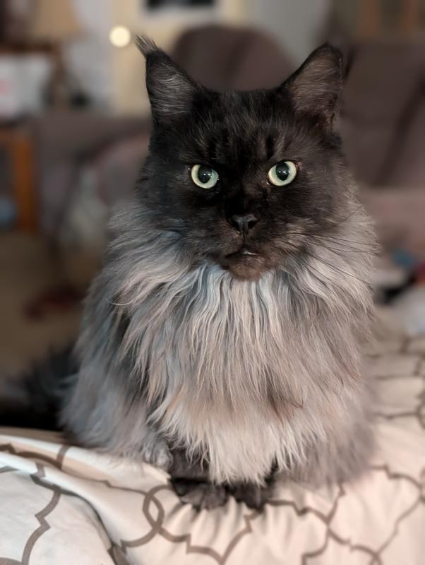 Beautiful LanGolf Arianna