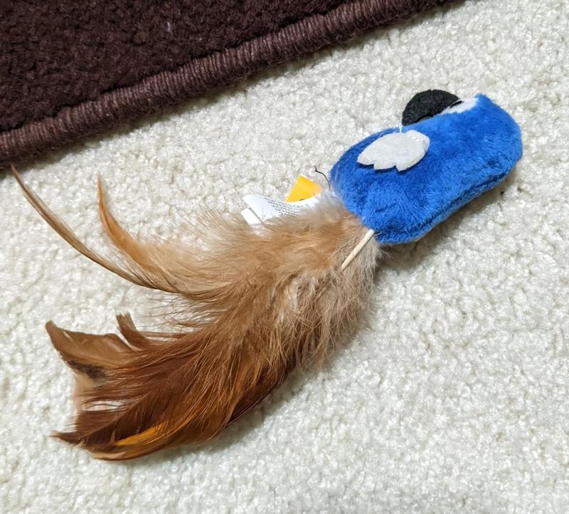 It's still in good physical condition, just minus a few feathers.