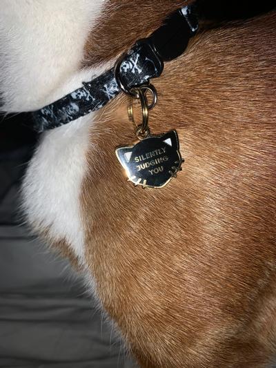 Collar and Tag
