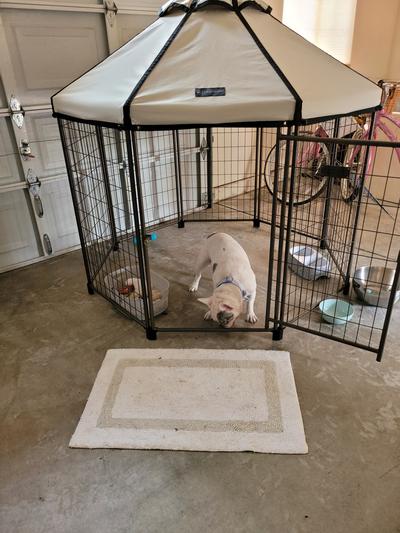 Pet gazebo outlet kennel