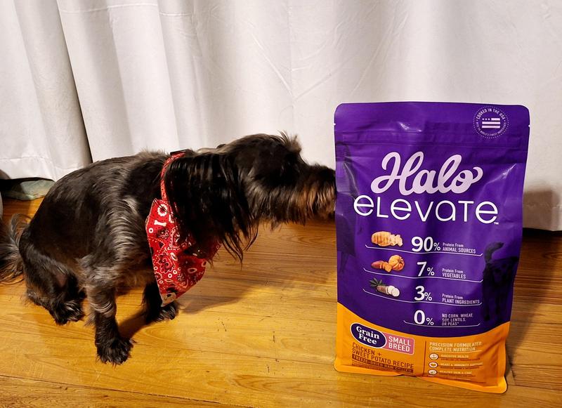 HALO Elevate Grain Free Chicken Recipe Small Breed Dry Dog Food