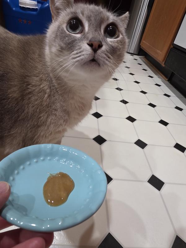 What are you trying to feed me, mom?