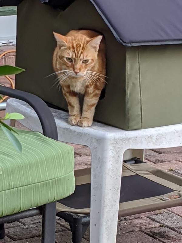 K&H PET PRODUCTS Outdoor Heated Kitty House ExtraWide Cat Shelter, Red