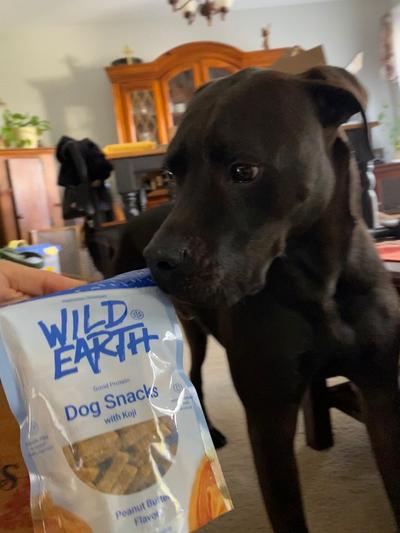 Wild earth best sale dog treats