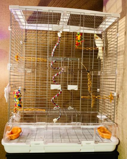 Vision Bird Cage pour petits oiseaux (M02) Double hauteur, petit fil -  Safari Pet Center