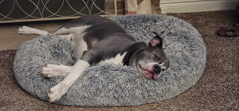 Nap time after great meal