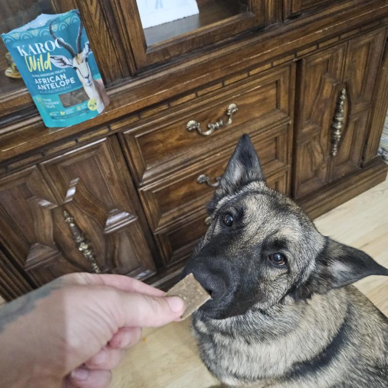 I have a video but not sure how to share