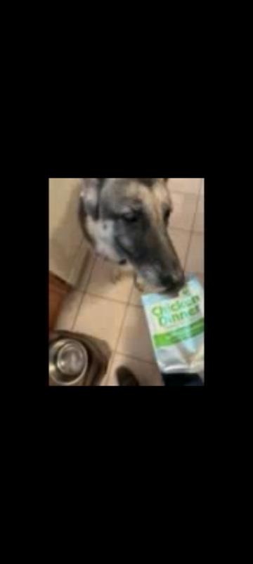 Investigating the new food