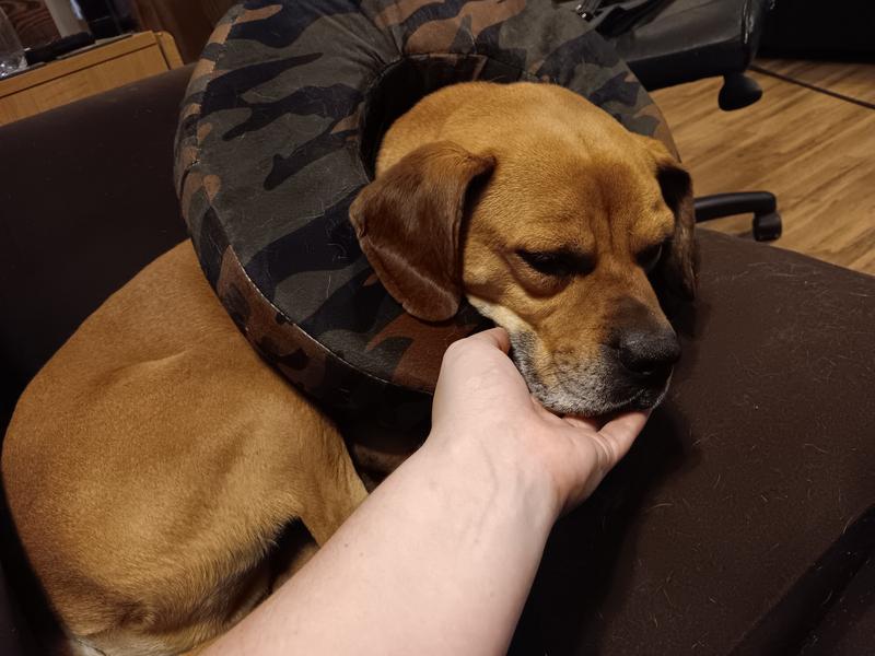 Lump removed today.