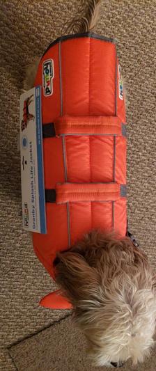  Outward Hound Granby Splash Yellow Dog Life Jacket, Medium :  Pet Supplies