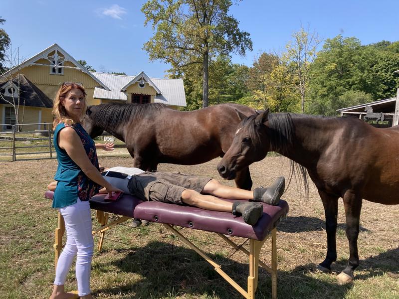 After rehab,  sanctuary horses are natural healers