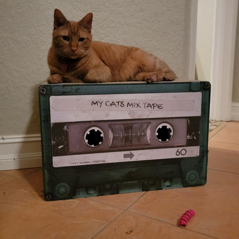 Thank you Santa Paws