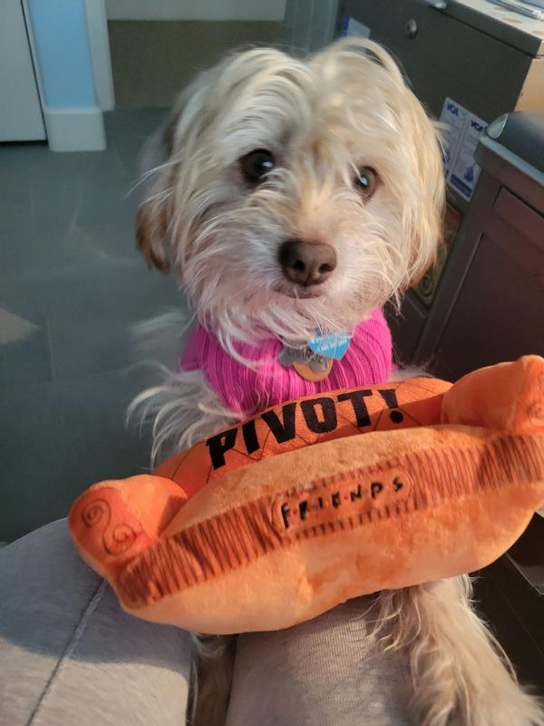 FETCH FOR PETS Friends Pivot Couch Plush Squeak Dog Toy