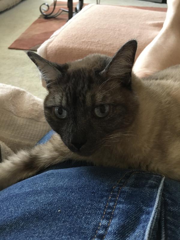 Sweet Boy  -