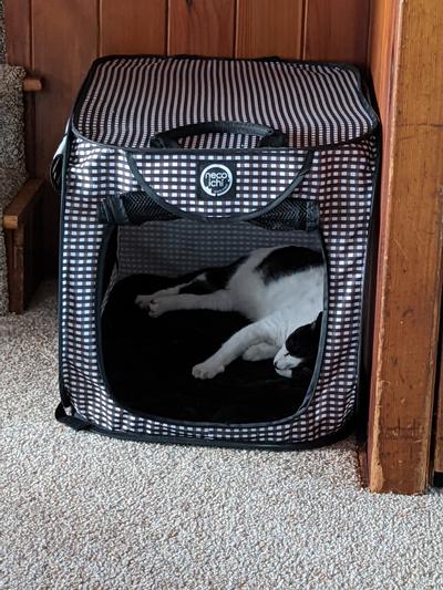 Necoichi Portable Stress Free Cat Cage and Litter Box Set