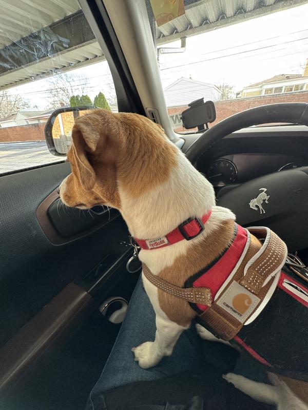 Carhartt Nylon Ripstop Reflective Service Dog Harness, High Risk Red/Carhartt Brown