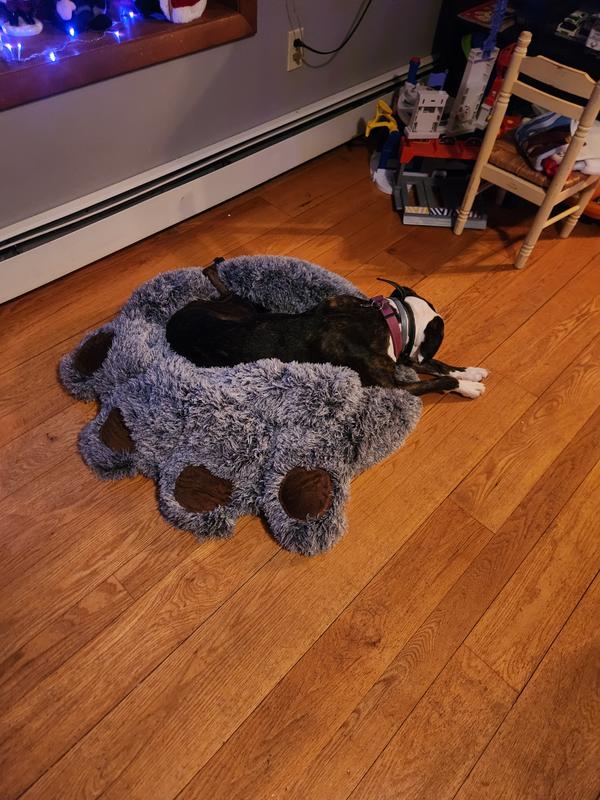 Strom in her bed. Not at all fluffy like the original advertisement photo