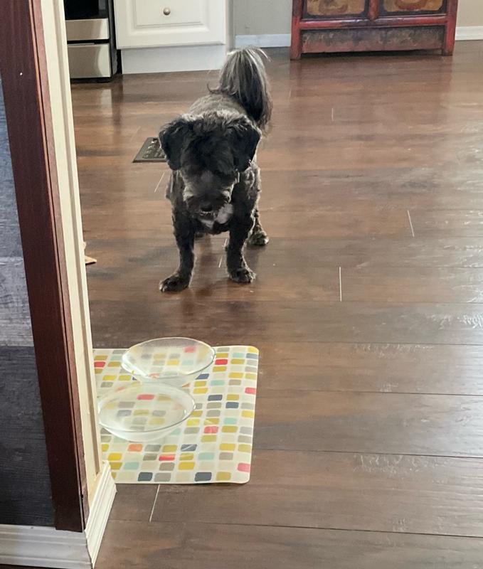 Maybe if I stare into the bowl more will magically appear!