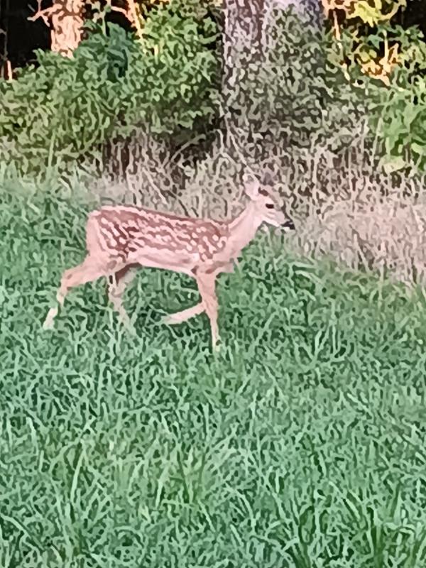 Baby is doing much better now that she has nutrients from the block.