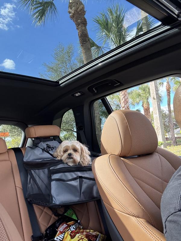 Sitting observing the road.