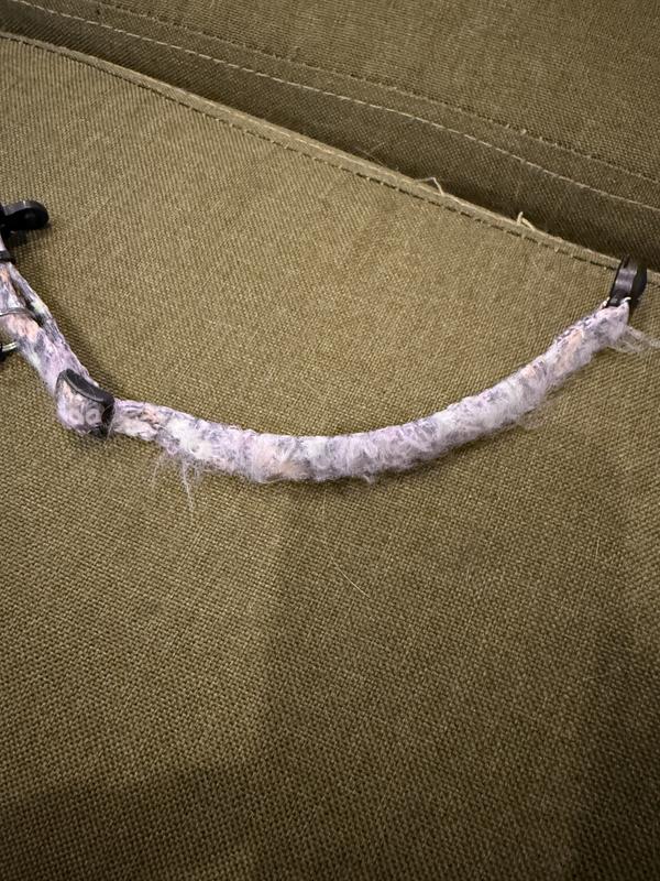 Outside of the collar after 2 weeks