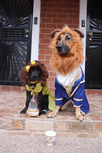 You can see the dress popped off in the picture