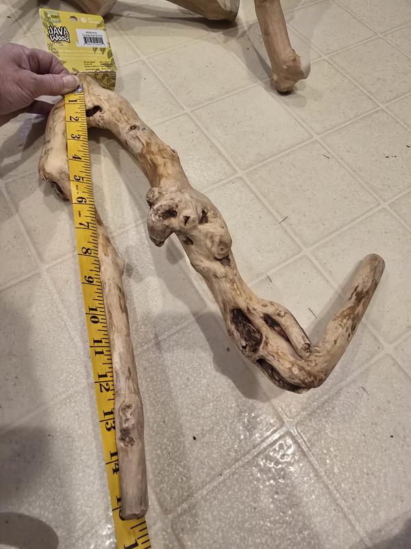 Very small and looks like it's rotten