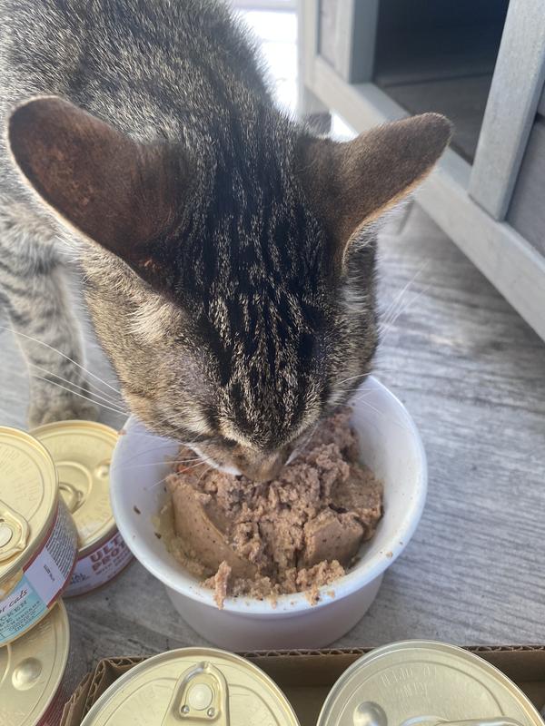 The texture Is perfect and she loved it!