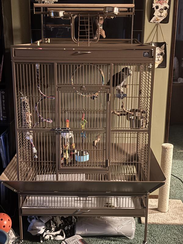 Timneh grey parrot in brown Hendrix cage is iwth assorted toys