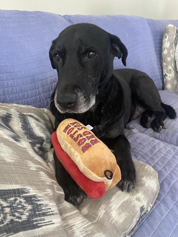 He doesn't eat real hotdogs, but he is a RedSox fan!!!