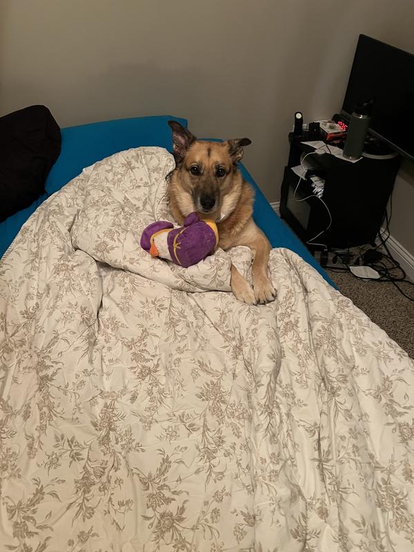 Her bedtime favorite