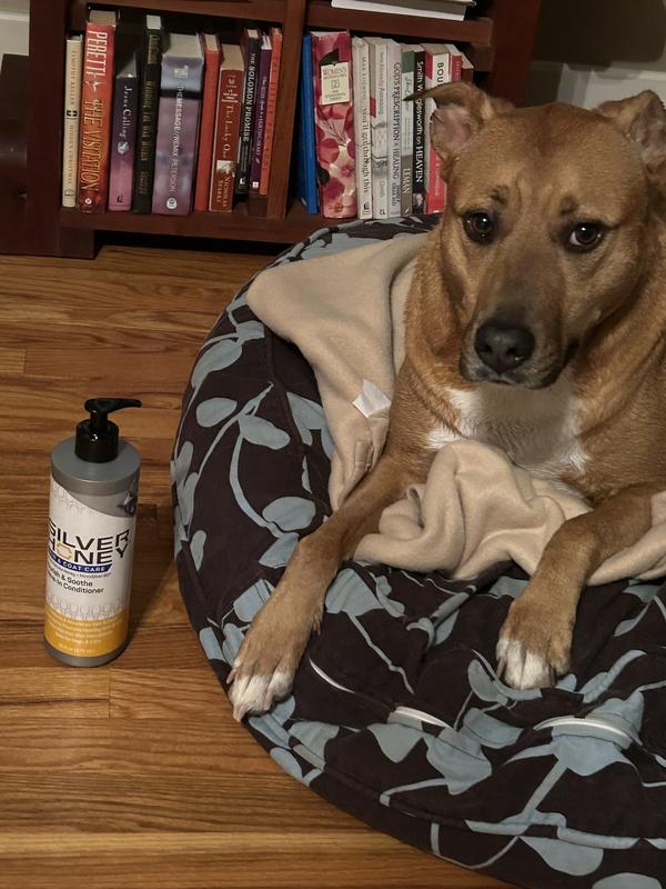 Before, during, and after bath