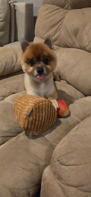 Something tells me he found a sour apple.