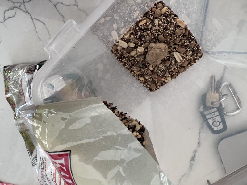 Clump in the bird food