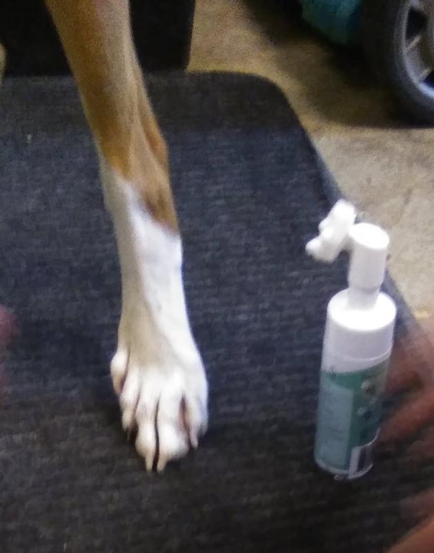 Before, During, After