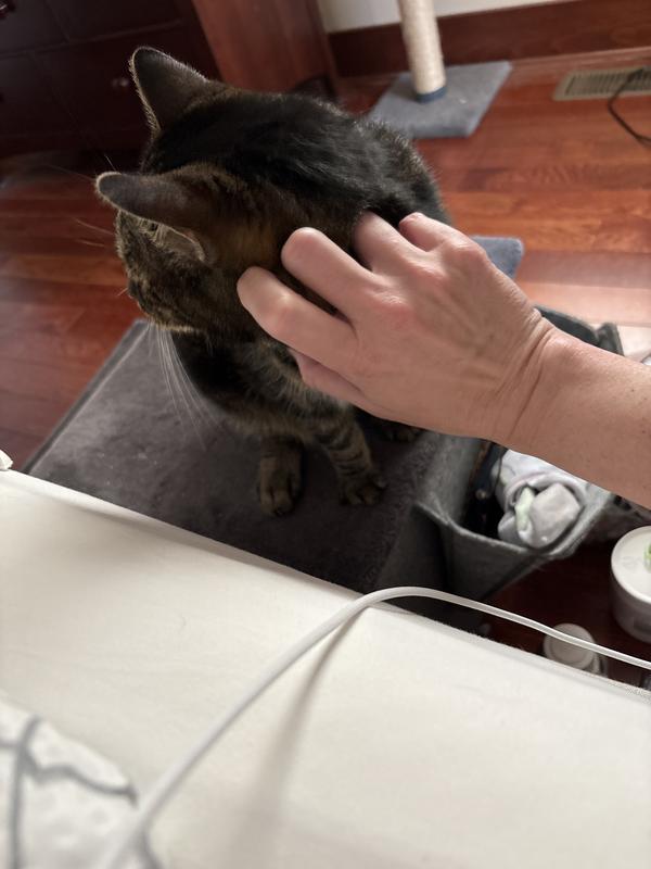 Sometimes the cat sits on it just to peek and get some cuddles.